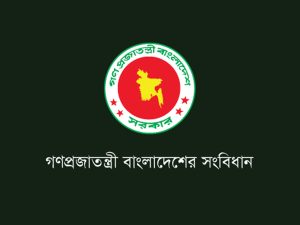 Read more about the article বাংলাদেশের সংবিধানের মূলনীতি কয়টি | ও রাষ্ট্র পরিচালনার মূলনীতি কি